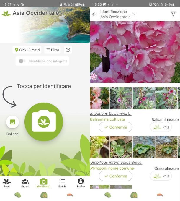 plantnet