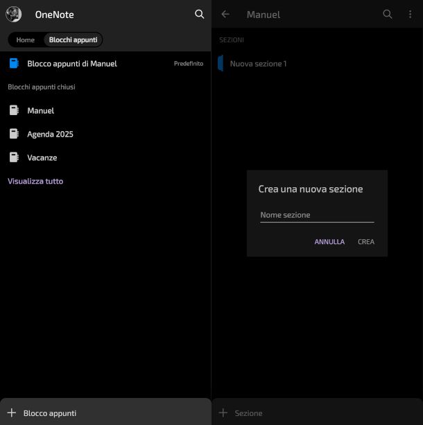 schermate OneNote