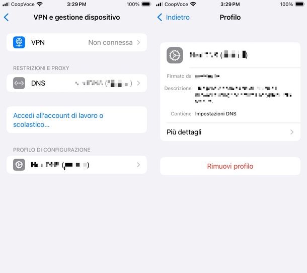 rimuovere profilo VPN iPhone