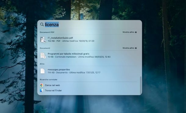 finestra Spotlight su Mac