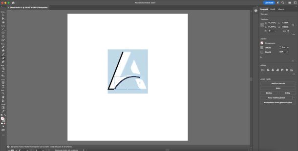 tracciato manuale su immagine raster