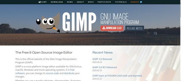gimp
