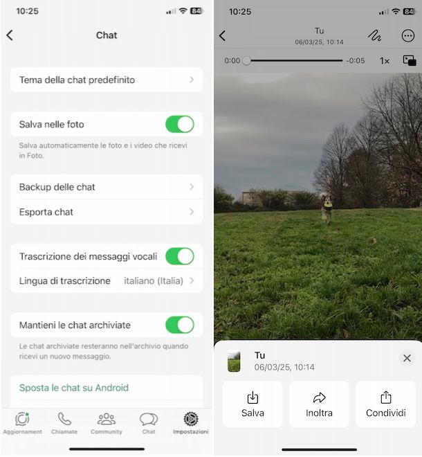 Salvare video da WhatsApp su iPhone