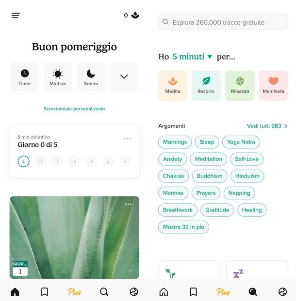 Insight Timer
