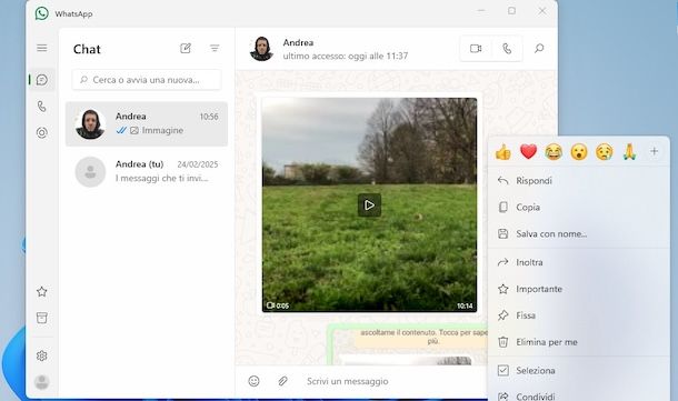 Salvare video WhatsApp su PC