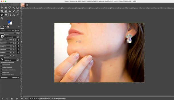 strumento cerotto su GIMP