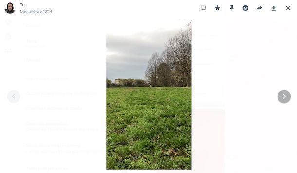 Salvare video da WhatsApp Web