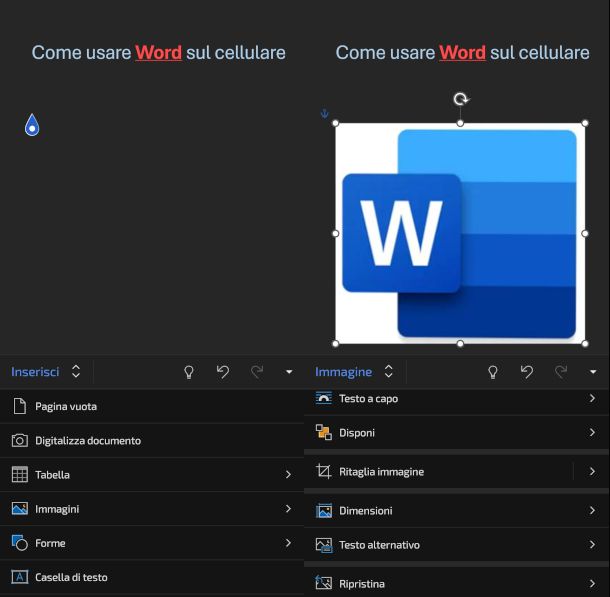 inserimento immagine su app Word