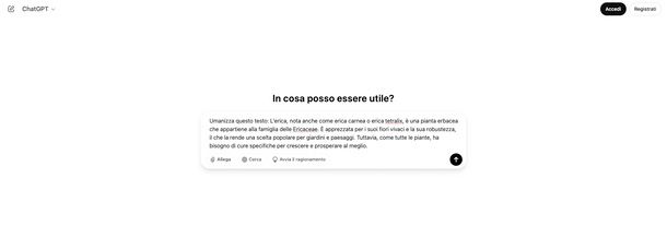 Umanizzare il testo di ChatGPT su ChatGPT