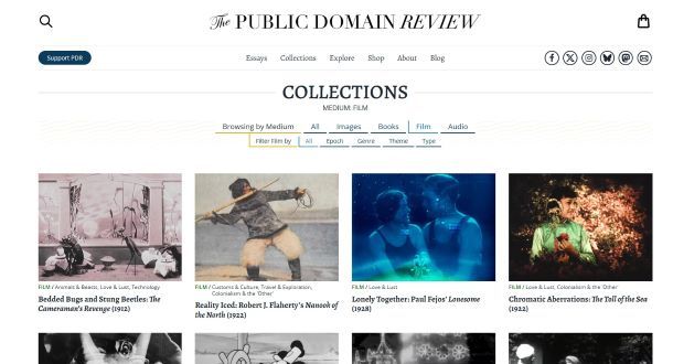 Public Domani Review