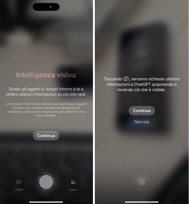 Intelligenza Visiva