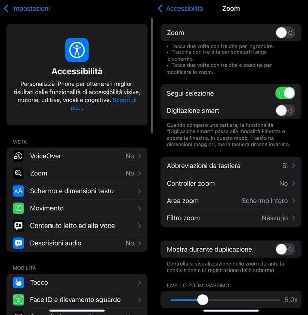 Zoom accessibilità iPhone