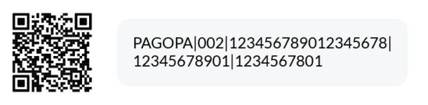 qr code pagopa