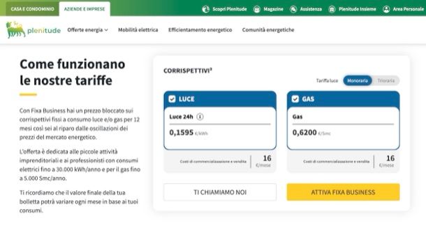 offerte luce business