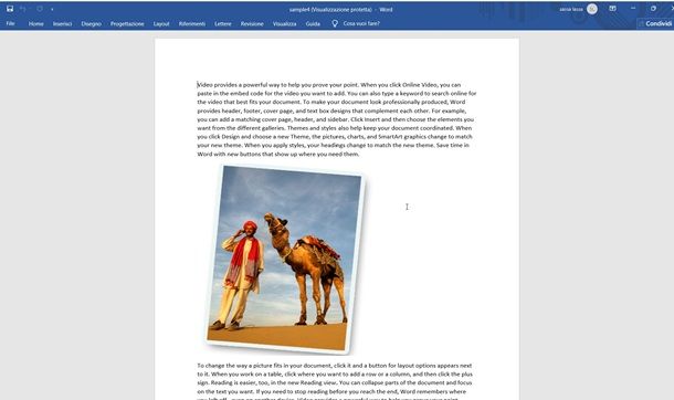 docx word