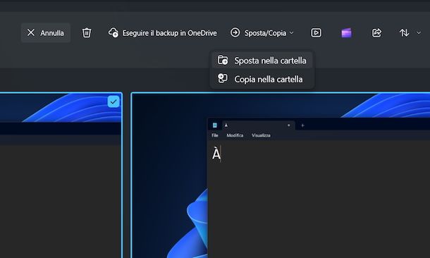 Creare album foto PC Windows