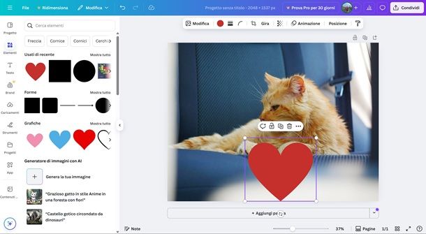 canva cuore su foto