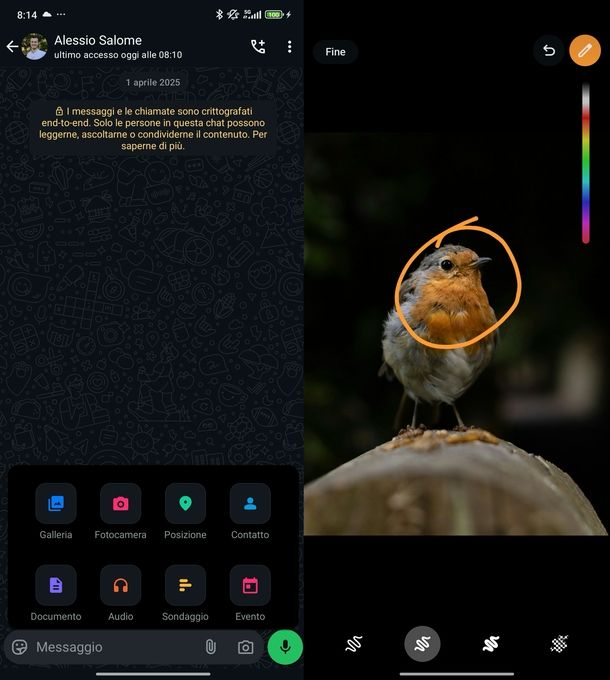 Cerchiare foto WhatsApp Android
