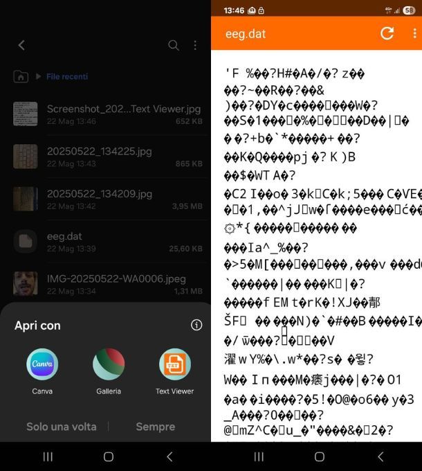 text viewer android