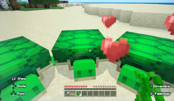 tartarughe in modalità amore su Minecraft
