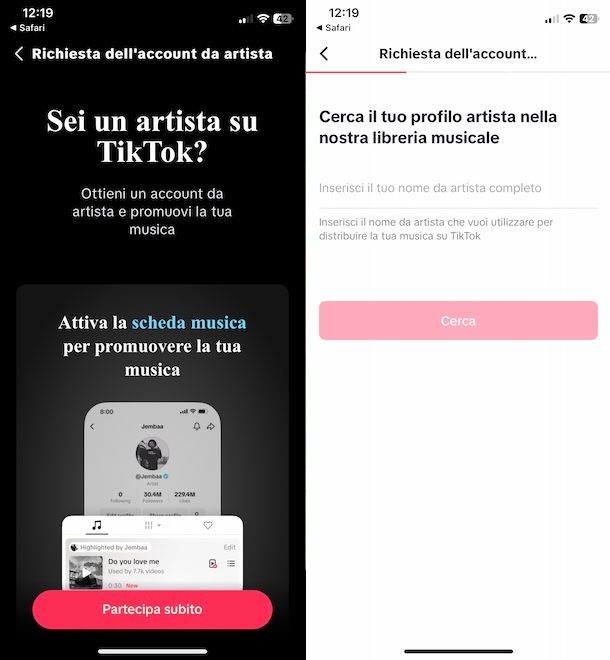 TikTok Artist
