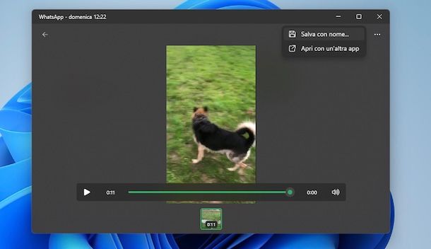 Scaricare video da WhatsApp su PC Windows