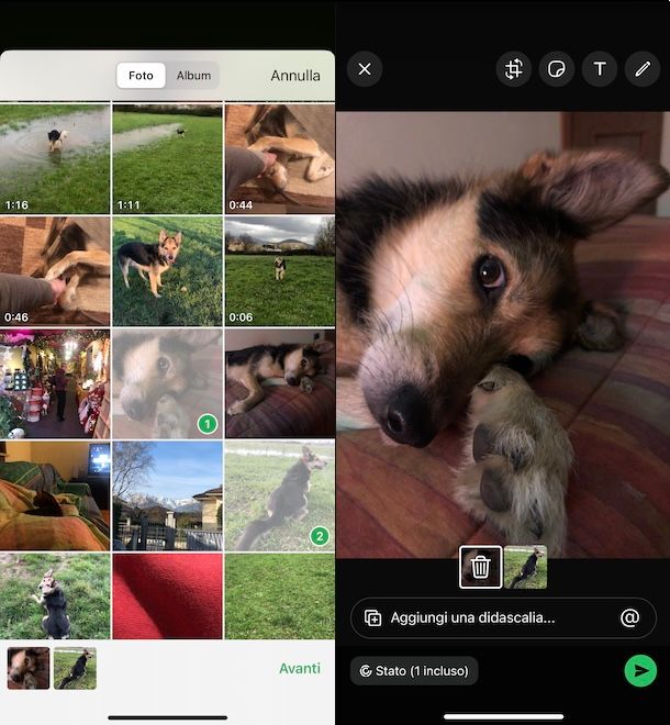 Mettere due foto sullo stato di WhatsApp