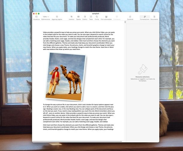 pages docx