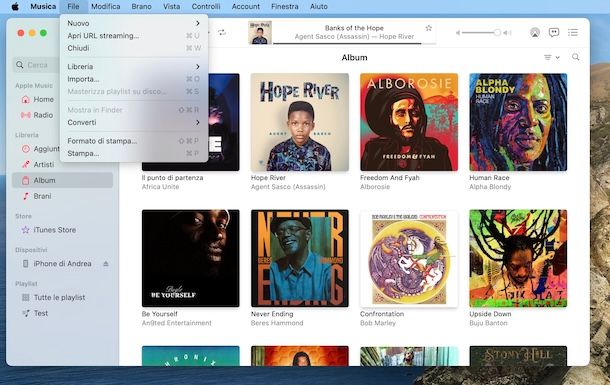 Importare libreria Musica