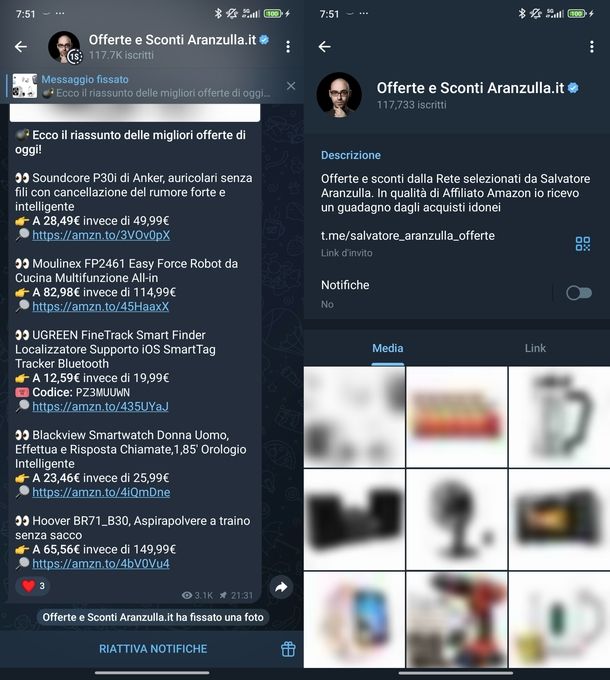 Account verificato Telegram
