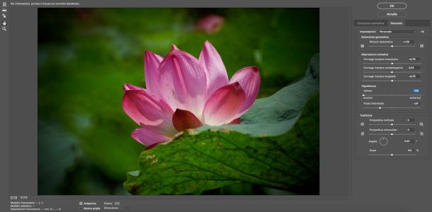 vignettatura con filtro correzione obiettivo
