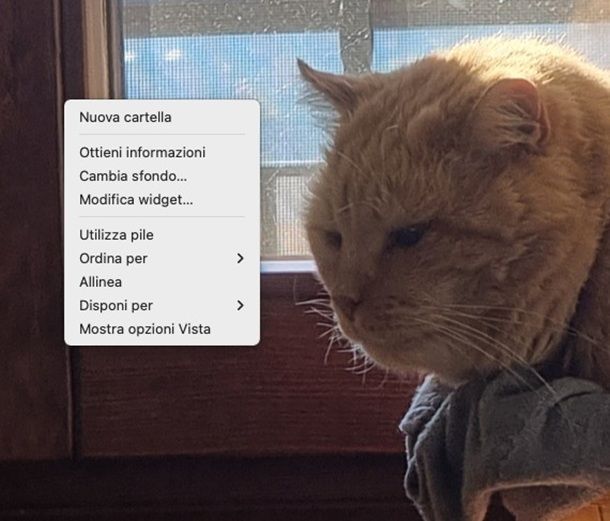 nuova cartella mac