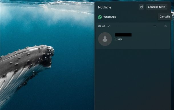 Cancellare notifiche Windows