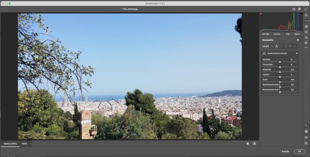 funzione per raddrizzare la foto nel filtro Camera RAW