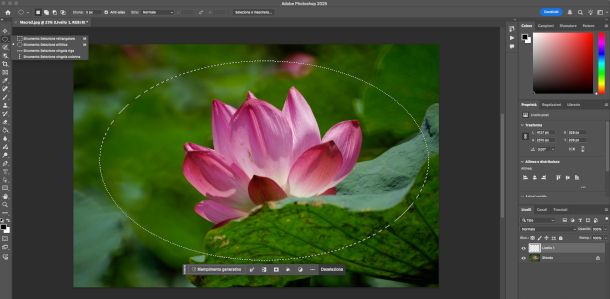 selezione area ellittica su imamgine Photoshop