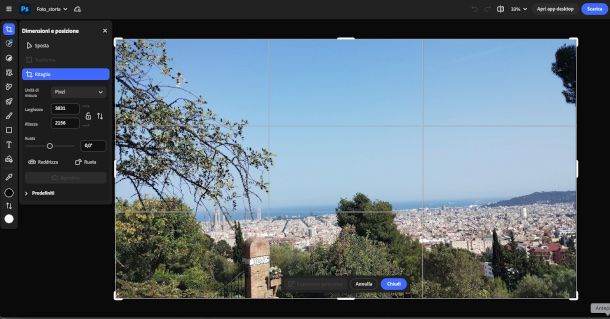 strumento di rotazione e ritaglio su Photoshop online