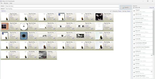 interfaccia Album Art Downloader