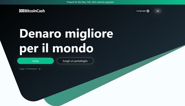 bitcoin cash