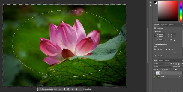 regolazione sfumatura Photoshop