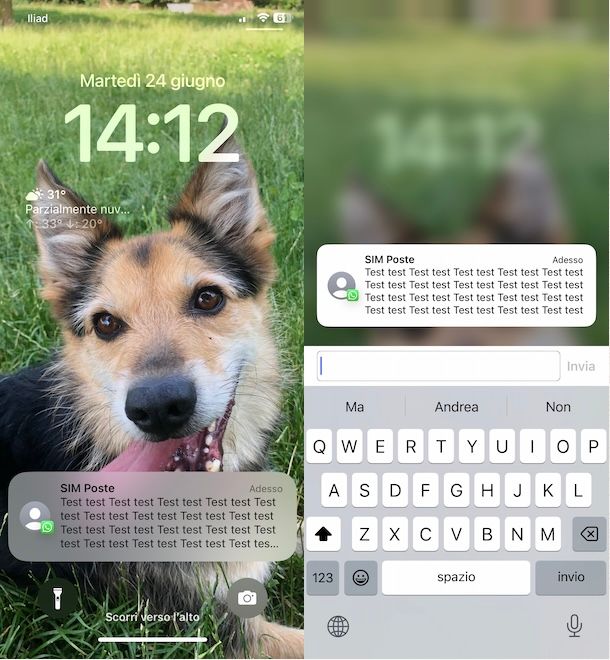 Leggere messaggi WhatsApp senza aprire