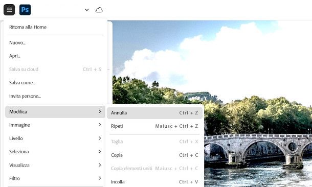 funzione Annulla su Photoshop online