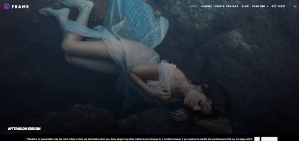 anteprima tema Rife Free layout Frame