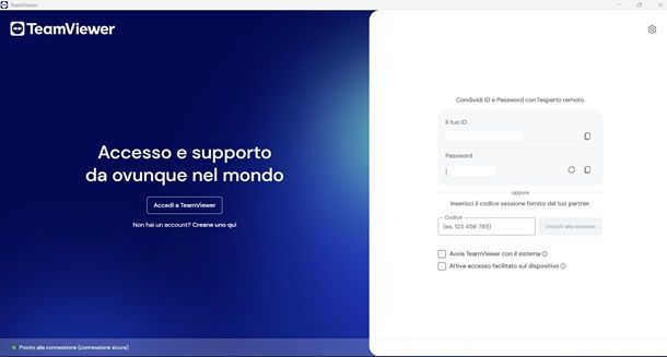 team viewer