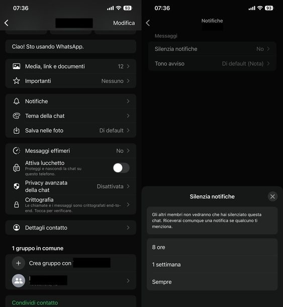 Silenziare contatto WhatsApp iPhone
