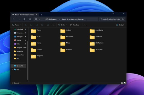 Esplora File