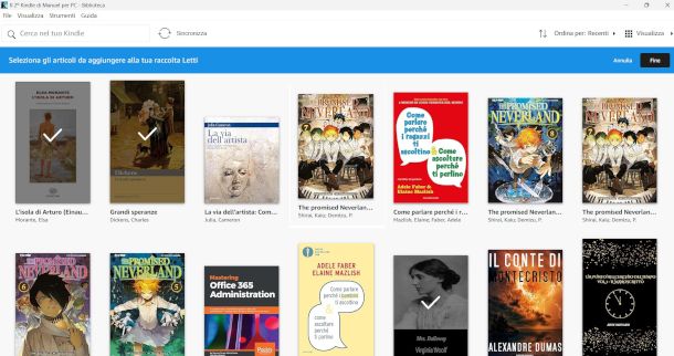 interfaccia sofwtare Amazon Kindle per PC