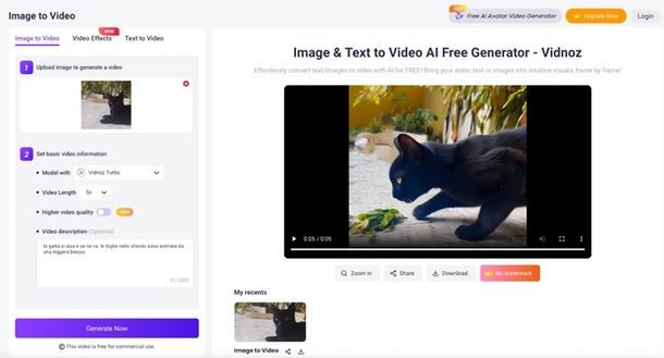 Vidnoz animare foto