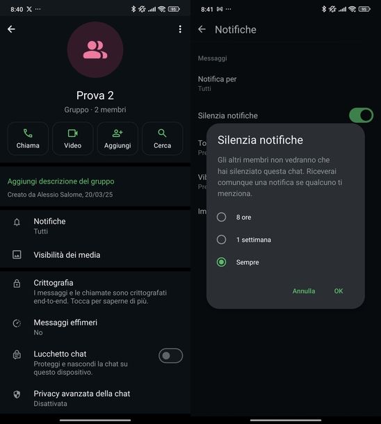 Silenziare gruppo WhatsApp Android