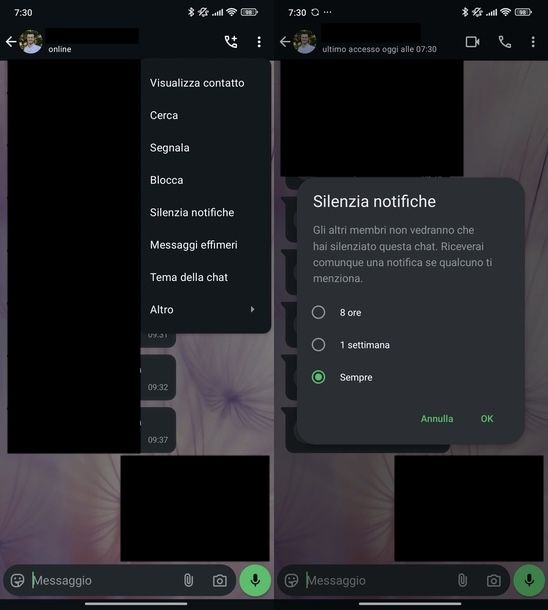 Silenziare contatto WhatsApp Android