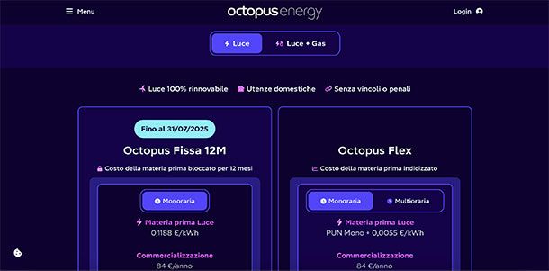 Octopus Energy